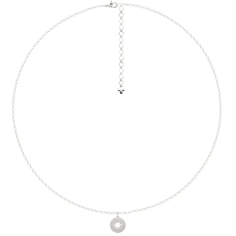 Ras de cou mini Stella argent - Scintillement discrêt